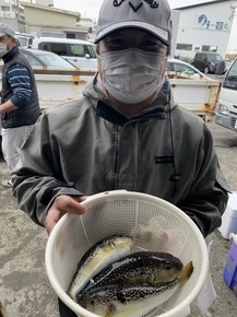 IMG_1331.JPG