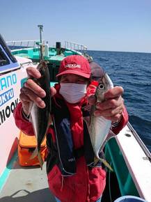 IMG_3955.JPG