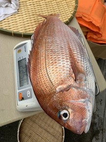 IMG_5667.JPG