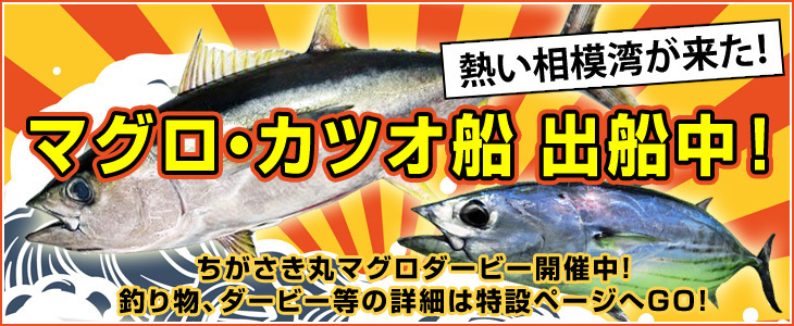 maguro2018_3.jpg