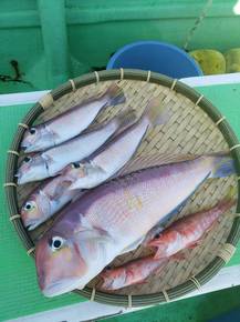 IMG_3719.JPG