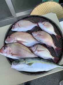 IMG_4378.JPG