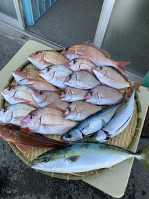 IMG_4380.JPG